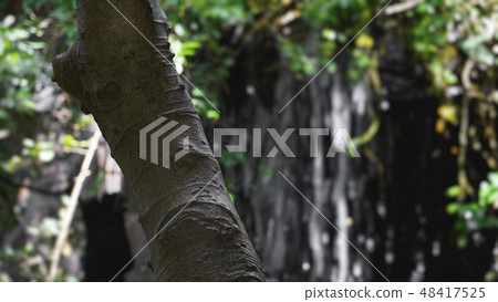 Rain in the tropical forest in jungle with waterfall Rain in the tropical forest in jungle with waterfall 48417525