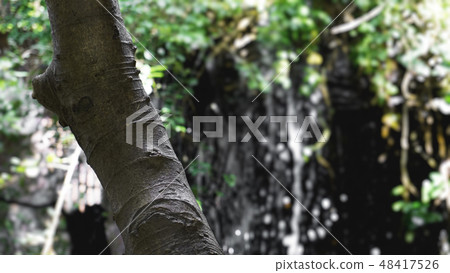 Rain in the tropical forest in jungle with waterfall Rain in the tropical forest in jungle with waterfall 48417526