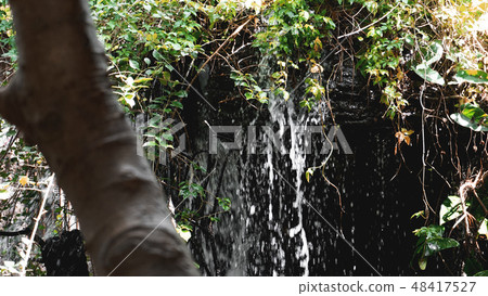 Rain in the tropical forest in jungle with waterfall Rain in the tropical forest in jungle with waterfall 48417527
