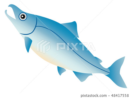 三文魚 三文魚 48417558