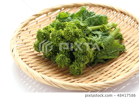 強姦開花 48417586