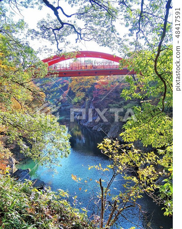 Takado Goro在秋天 48417591