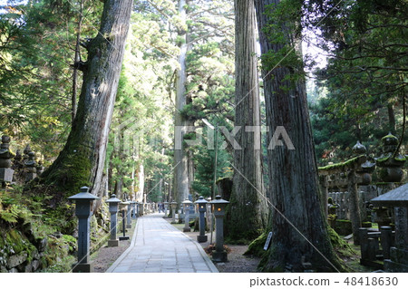 Wakayama Koyasan Wakayama Koyasan 48418630