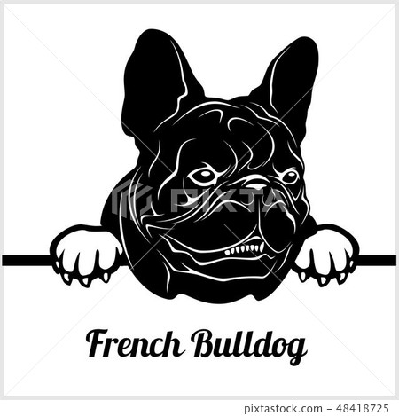 French Bulldog - Peeking Dogs - - breed face head isolated on white French Bulldog - Peeking Dogs - - breed face head isolated on white 48418725