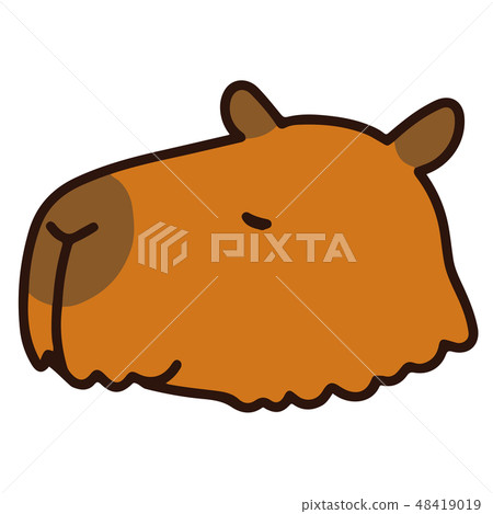 Illustration of a simple and cute capybara sleeping with a main line 48419019