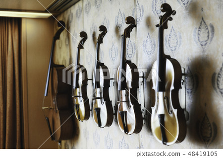 Close Up Shot Of Handmade Violins And Violas Close Up Shot Of Handmade Violins And Violas 48419105