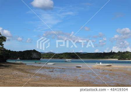 百日風光 48419304