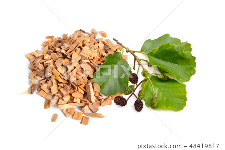 Alder wood chips with plant isolated  48419817