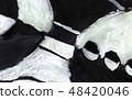 texture 48420046