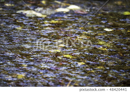 Nature Nature 48420441