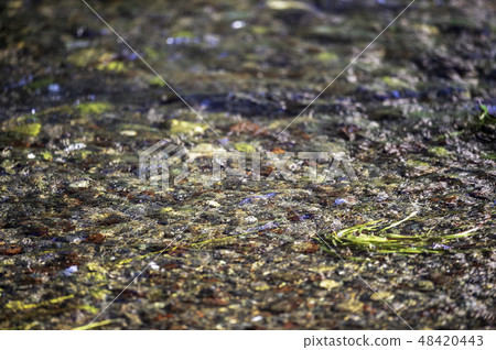 Nature Nature 48420443