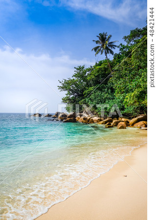 Turtle Beach, Perhentian Islands, Malaysia 48421444