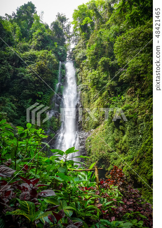 Melanting Waterfall, Munduk, Bali, Indonesia Melanting Waterfall, Munduk, Bali, Indonesia 48421465