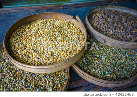 Kopi Luwak coffe beans, Bali, Indonesia 48421468