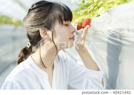 A woman hunting strawberries 48421492