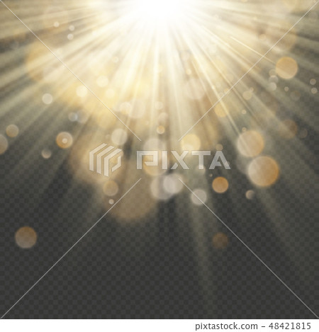 Light effect with glitter, sequins. Shining rays with bokeh. Sun particles and sparks with a 48421815