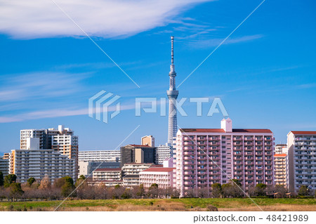 "Tokyo Metropolis" Sky Tree and Residential Area 48421989