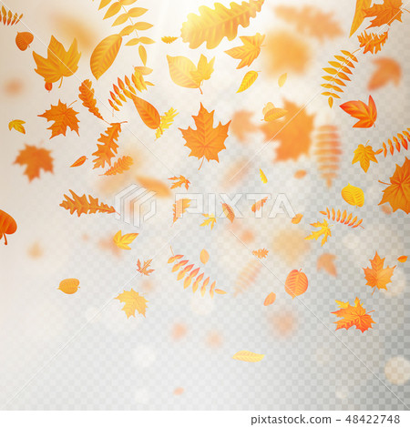 Effect of autumn falling leaves layer with shallow DOF blur. Autumnal foliage fall template. Warm 48422748