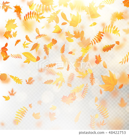Effect of autumn falling leaves layer with shallow DOF blur. Autumnal foliage fall template. Warm Effect of autumn falling leaves layer with shallow DOF blur. Autumnal foliage fall template. Warm 48422753
