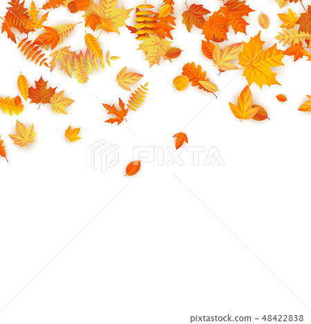Autumn background with golden maple, oak and others leaves. EPS 10 Autumn background with golden maple, oak and others leaves. EPS 10 48422838