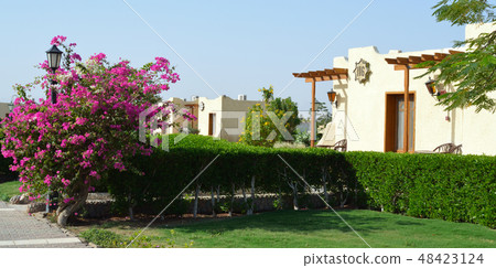 Bungalows, Egypt, Hurghada. 48423124
