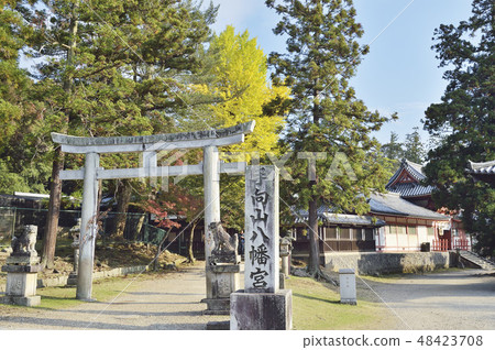 Hirakata Yama Hachimangu Shrine Todaiji Nara 48423708