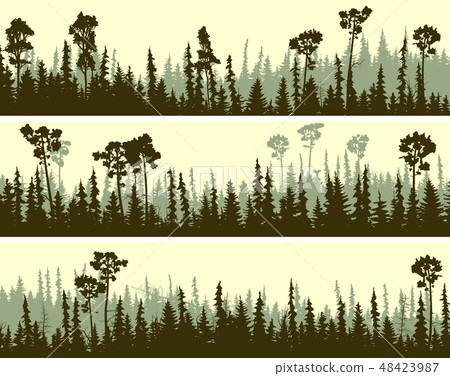 Banners of coniferous forest silhouettes. Banners of coniferous forest silhouettes. 48423987