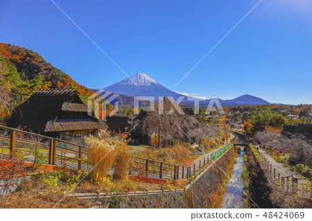 [Yamanashi Prefecture] Autumn leaves of Saiko healing village Nemba 48424069