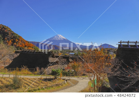 [Yamanashi Prefecture] Autumn leaves of Saiko healing village Nemba 48424072