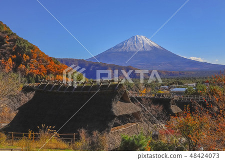[Yamanashi Prefecture] Autumn leaves of Saiko healing village Nemba 48424073