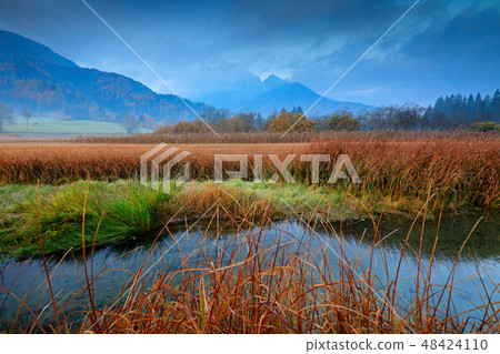 Zelenci lake natural reserve, Slovenia 48424110