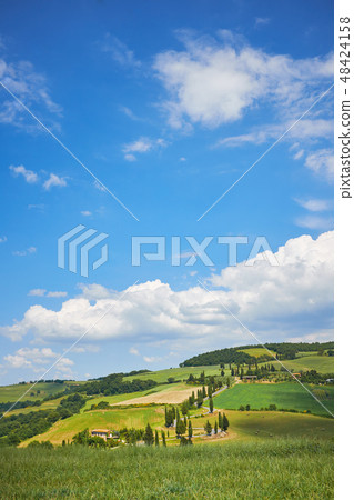 Geometry of Tuscany hills. Italy. May. 48424158
