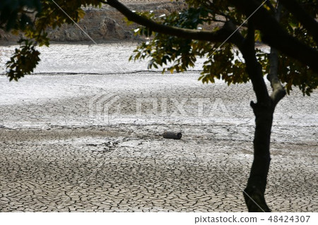 Sagriya drought 48424307