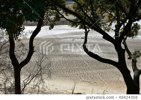 Sagriya drought 48424308