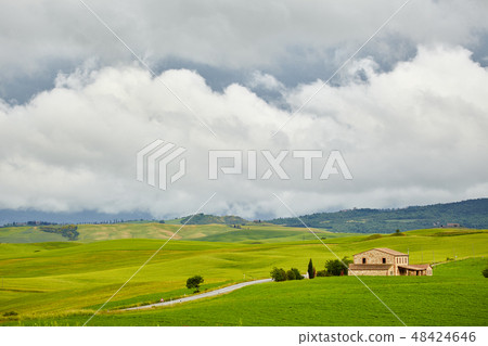 Countryside, green hills , Tuscany, Italy Countryside, green hills , Tuscany, Italy 48424646