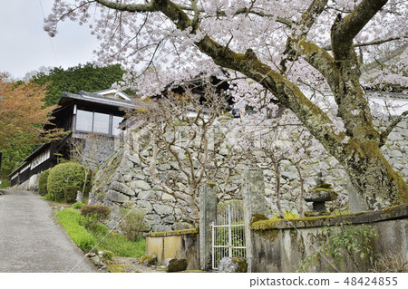 Shorinji Nara Sakurai Shorinji Nara Sakurai 48424855