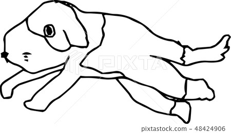 Dog breeds cute little hand-drawn rough sketch - Stock Illustration ...