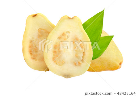 Yellow guava fruit isolated on white background 48425164