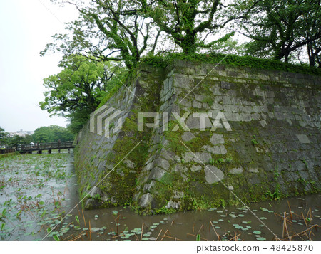 Kagoshima Castle 100 Great castle Kagoshima Castle 100 Great castle 48425870