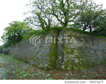 Kagoshima Castle 100 Great castle 48425871