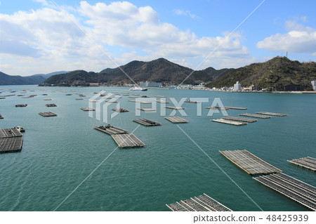 日清牡蠣筏 48425939