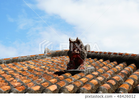Roof of Taketomi-jima Island Roof of Taketomi-jima Island 48426012