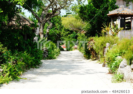 White road White road 48426013