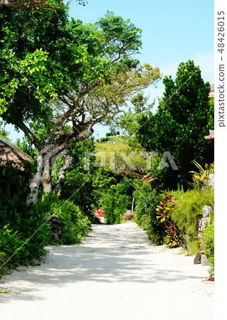 White road White road 48426015