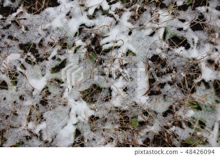 Snow covering the ground 48426094