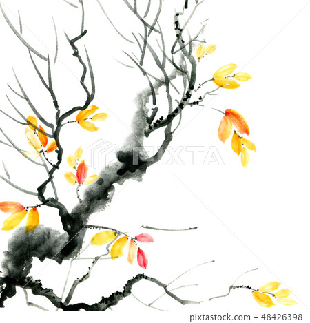 Image of 48426398
