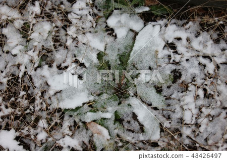 Snow covering the ground Snow covering the ground 48426497