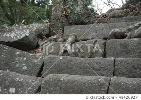 和歌山城堡的矮人 和歌山城堡的矮人 48426927