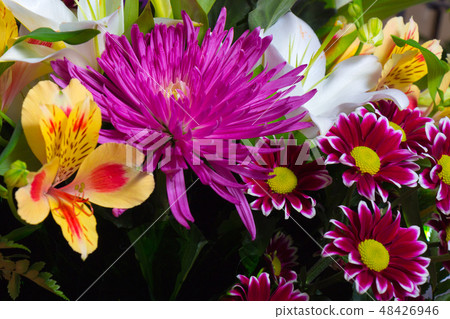 various flowers rose gerbera daisy chrysanthemum close up 48426946