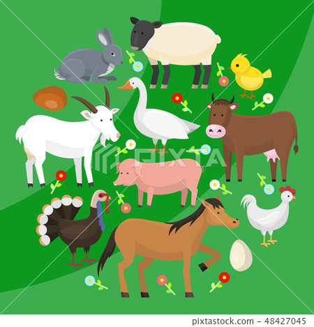 Set of farm domestic animals round pattern vector illustration. Collection of cute pet animal Set of farm domestic animals round pattern vector illustration. Collection of cute pet animal 48427045